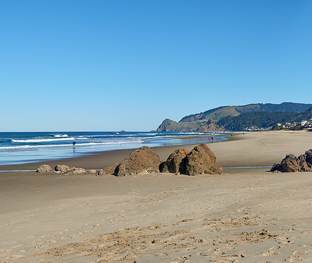 Things to Do in Lincoln City Starfish Manor